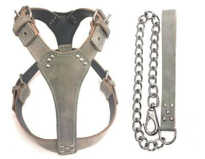 Plain Grey Leather Dog Harness for Large Dog Breeds like Staffy, PitBull... with Matching Chain Lead