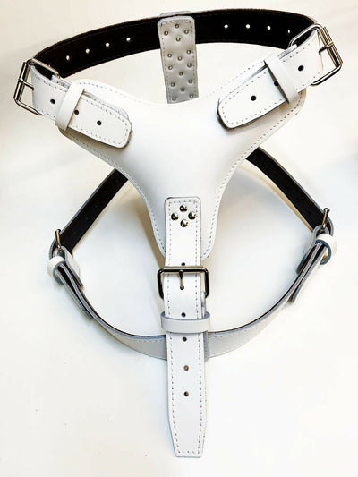 Plain Extra Large Heavy Duty White Leather Dog Harness for Big Dog Breeds