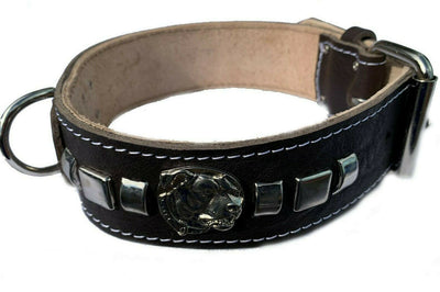 2 Inch Black Leather Dog Collar with Decorative Design and American Bulldog
