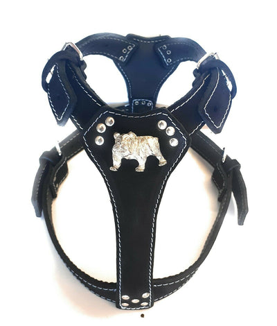 Black Large Leather Dog Harness with English Bulldog Badge