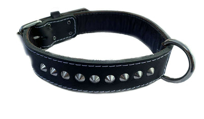 1.5 Inch Studded Black Leather Dog Collar Suitable for Many Dog Breeds