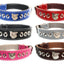 1.5" Staffy Leather Dog Collar with Decorative Design and Staffordshire Bull Terrier Badge