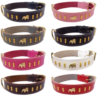 1.5" wide Leather Dog Collar with Unique Gold Design and English Bulldog Badges Style-4