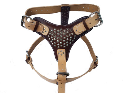 Two Tone Heavy Duty Leather Dog Harness with Studded Design Extra Large
