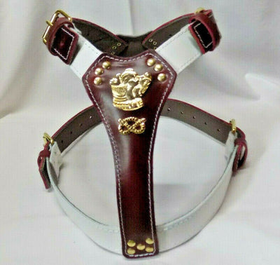 Two Tone Leather Dog Harness with Staffordshire Bullterrier and Knot Cherry and White