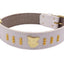 1.5" wide Staffy Leather Dog Collar with Gold Unique Decorative Design and Staffordshire Bull Terrier Badge